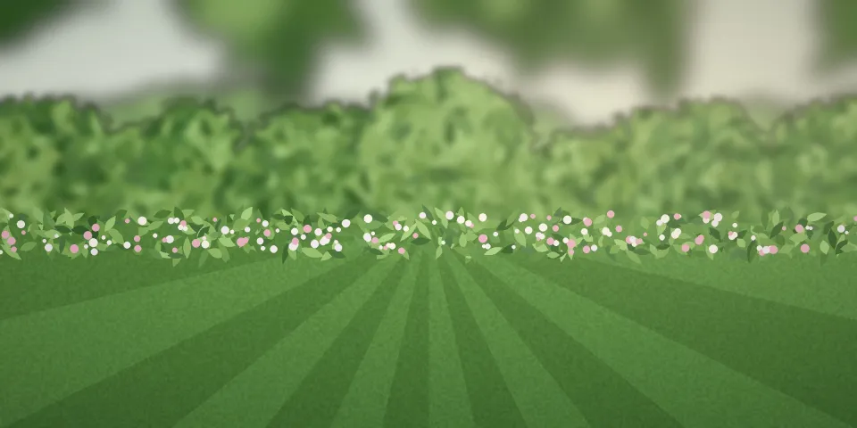 Pelouse de printemps et massifs en bordure