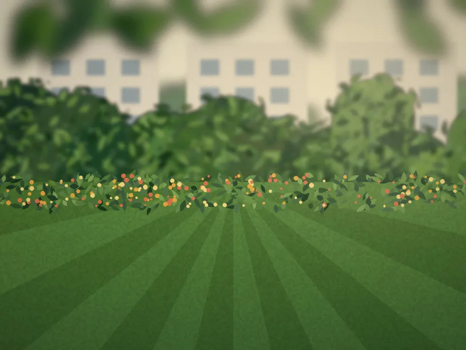 Espaces verts d'une résidence entretenus