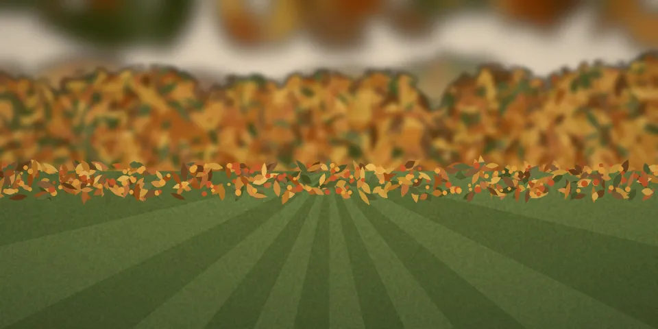 Jardin en automne, pelouse et arbres dorés