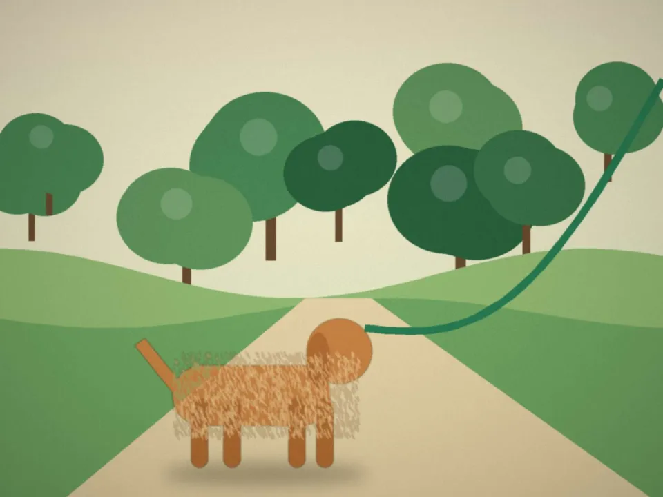 Promenade en laisse d'un chien caramel sous les arbres