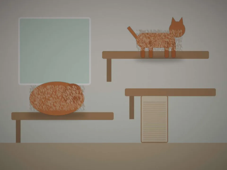 Avant : Ficelle, chatte rousse : d'abord cachée, puis au soleil