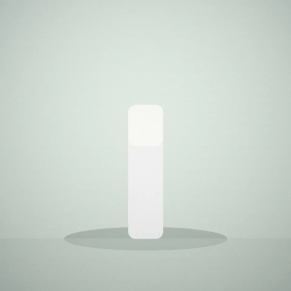 Stick de baume pour les lèvres