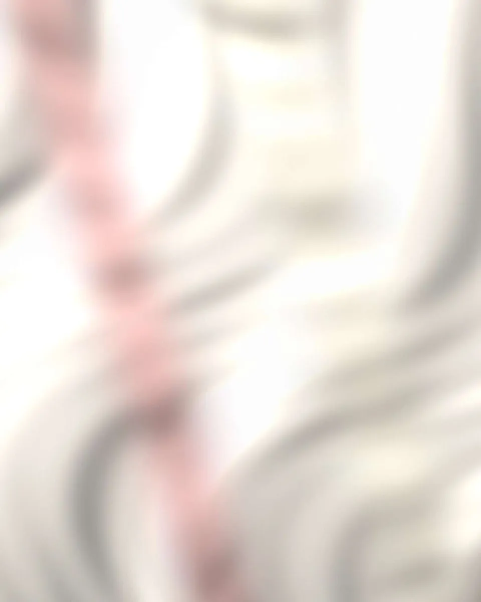 Dentelle brodée de l’Atelier Dentelle Nord (illustration)