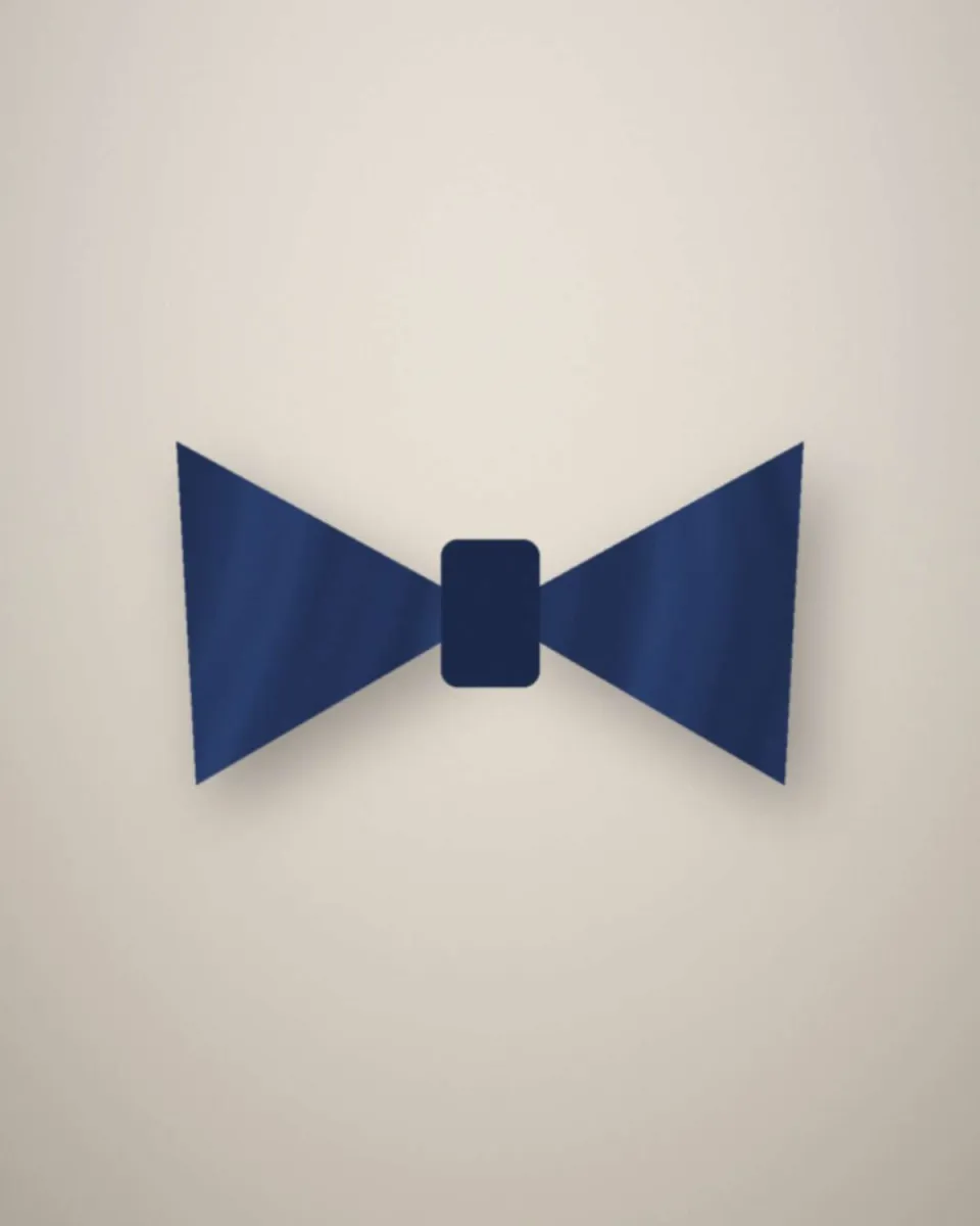 Nœud papillon bleu marine