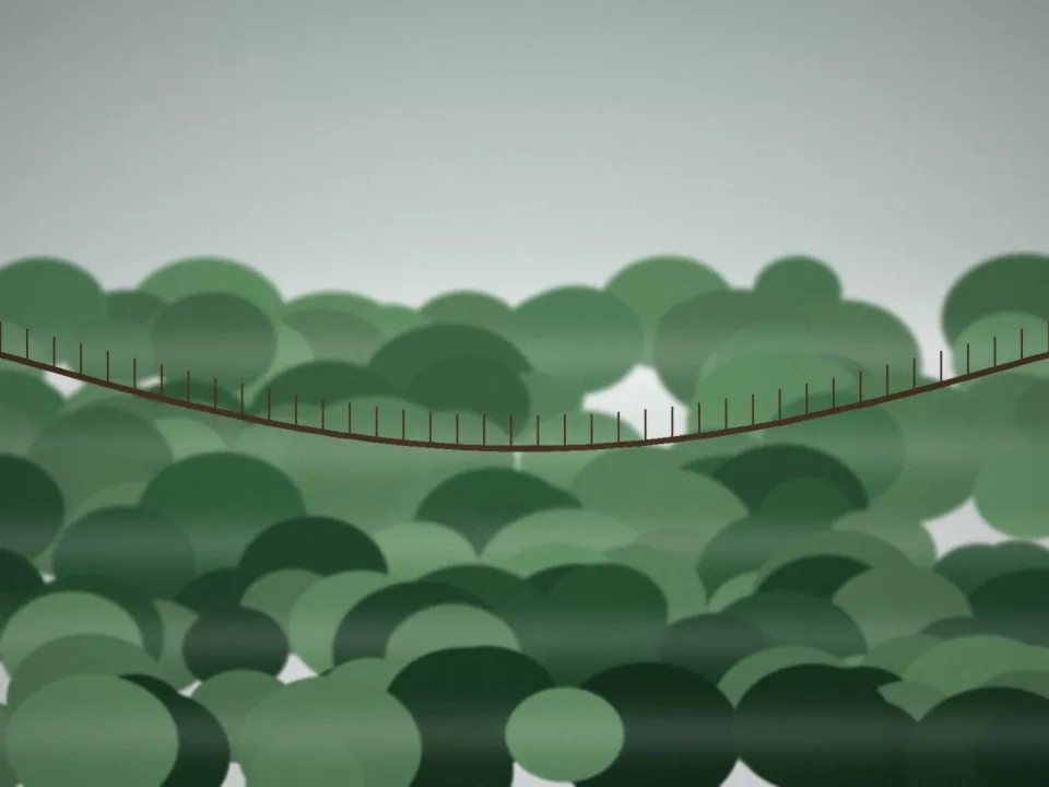 Pont suspendu dans la canopée d'une forêt tropicale