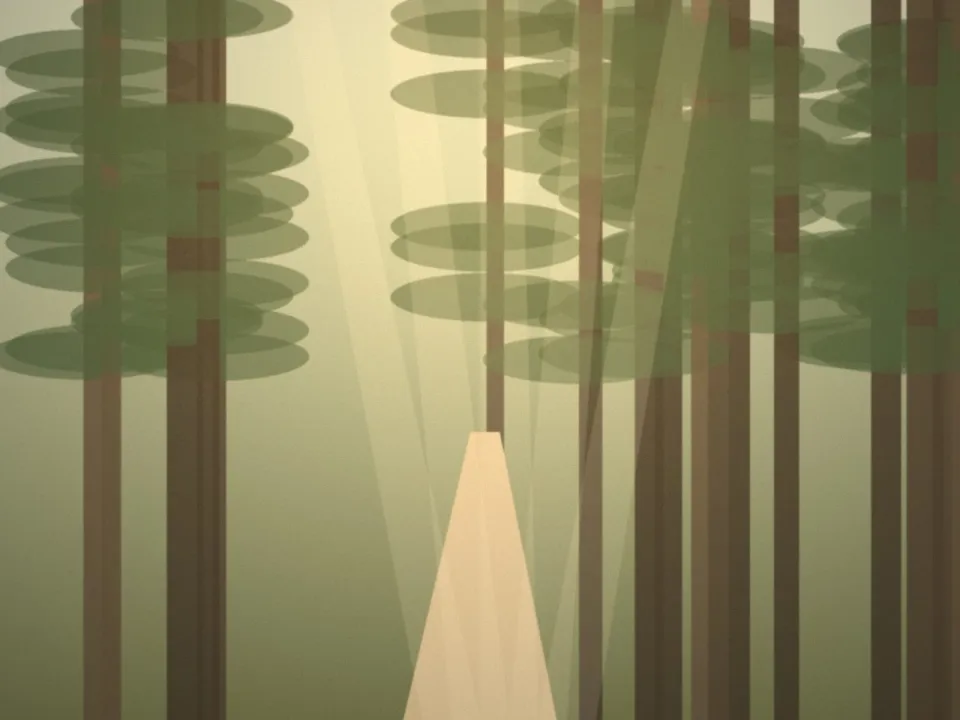 Sentier ombragé dans la forêt des Cèdres