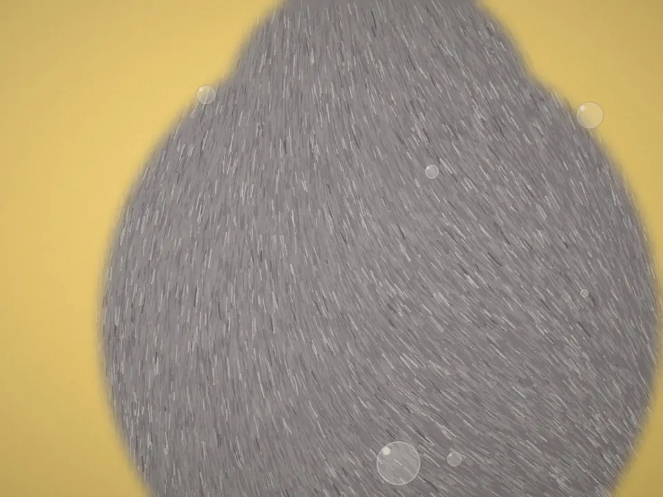 Finitions aux ciseaux sur un pelage gris