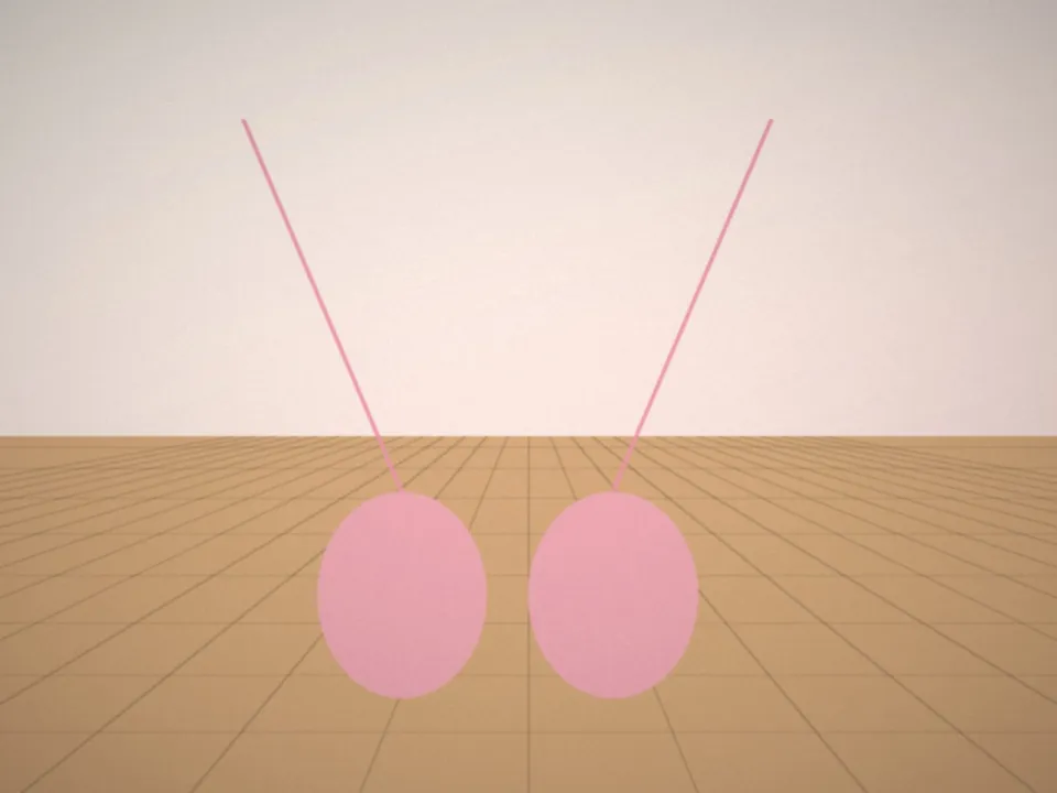 Petits chaussons de danse posés sur le parquet du studio
