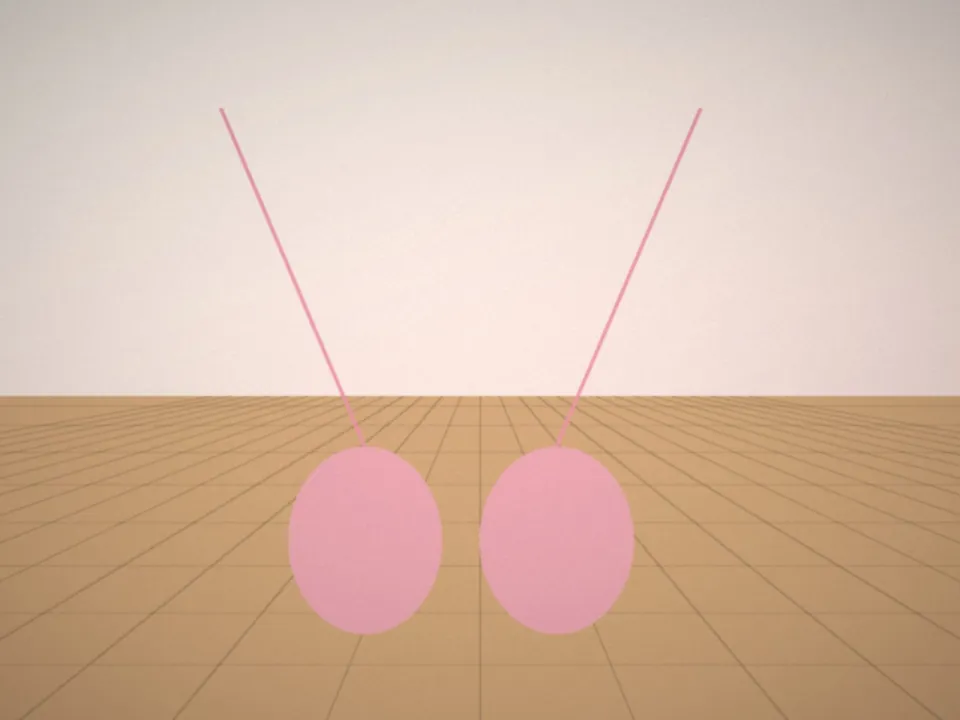 Chaussons de danse au bord du parquet