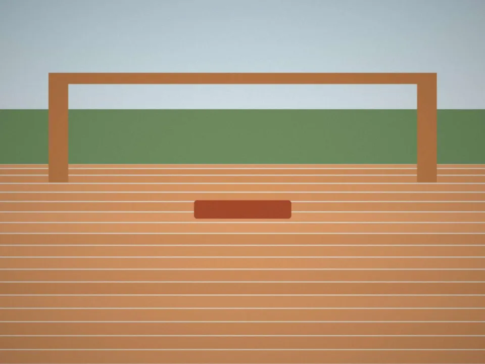 Après : Vieille terrasse remplacée par du mélèze