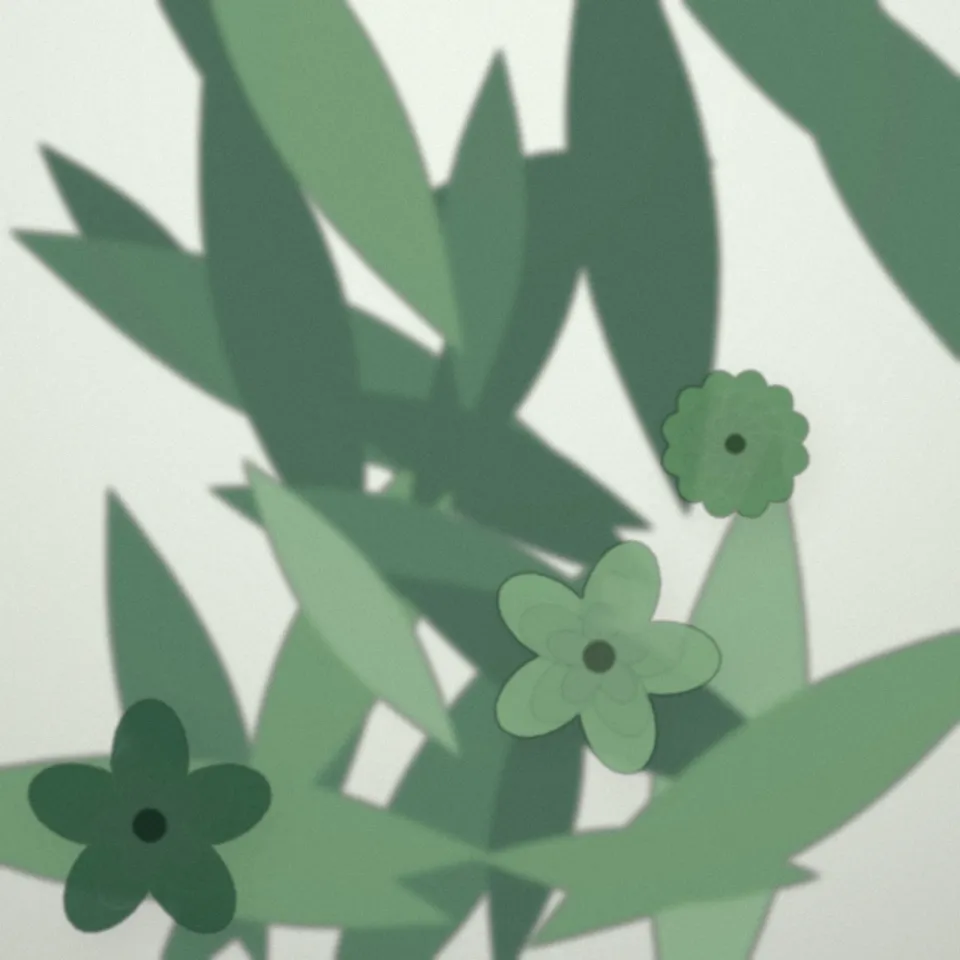 Plante verte en pot au grand feuillage