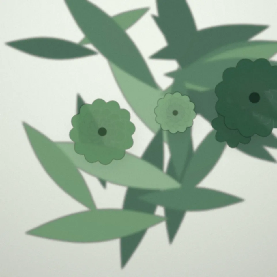 Plantes vertes livrées dans des bureaux