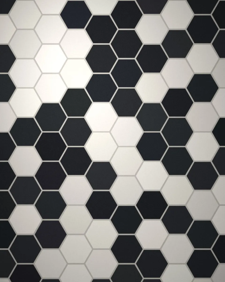 Tomettes hexagonales noires et blanches en damier