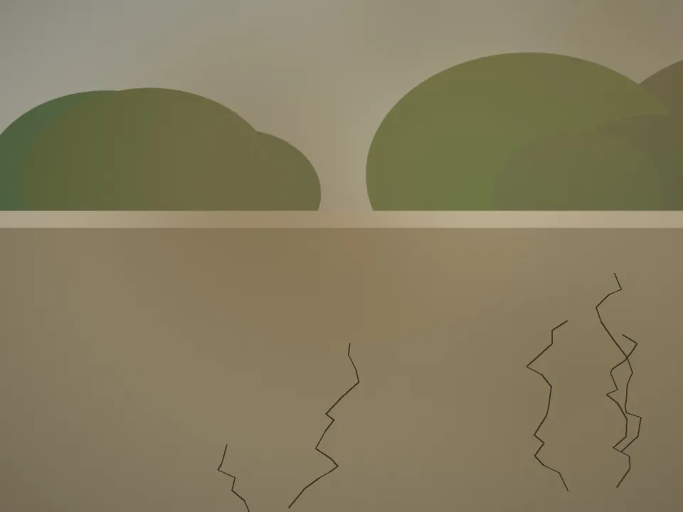 Avant : Muret et allée en pierre
