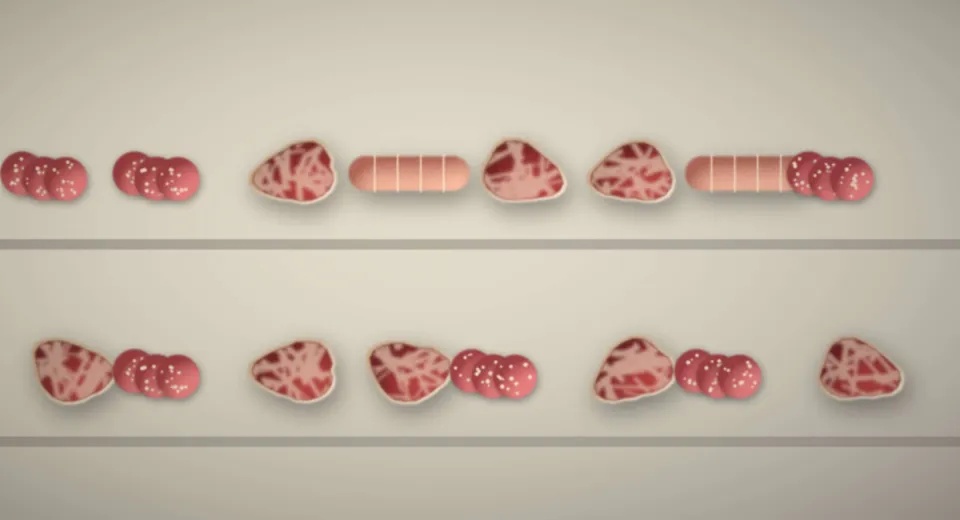 L'étal réfrigéré garni de viandes, de rôtis et de charcuterie