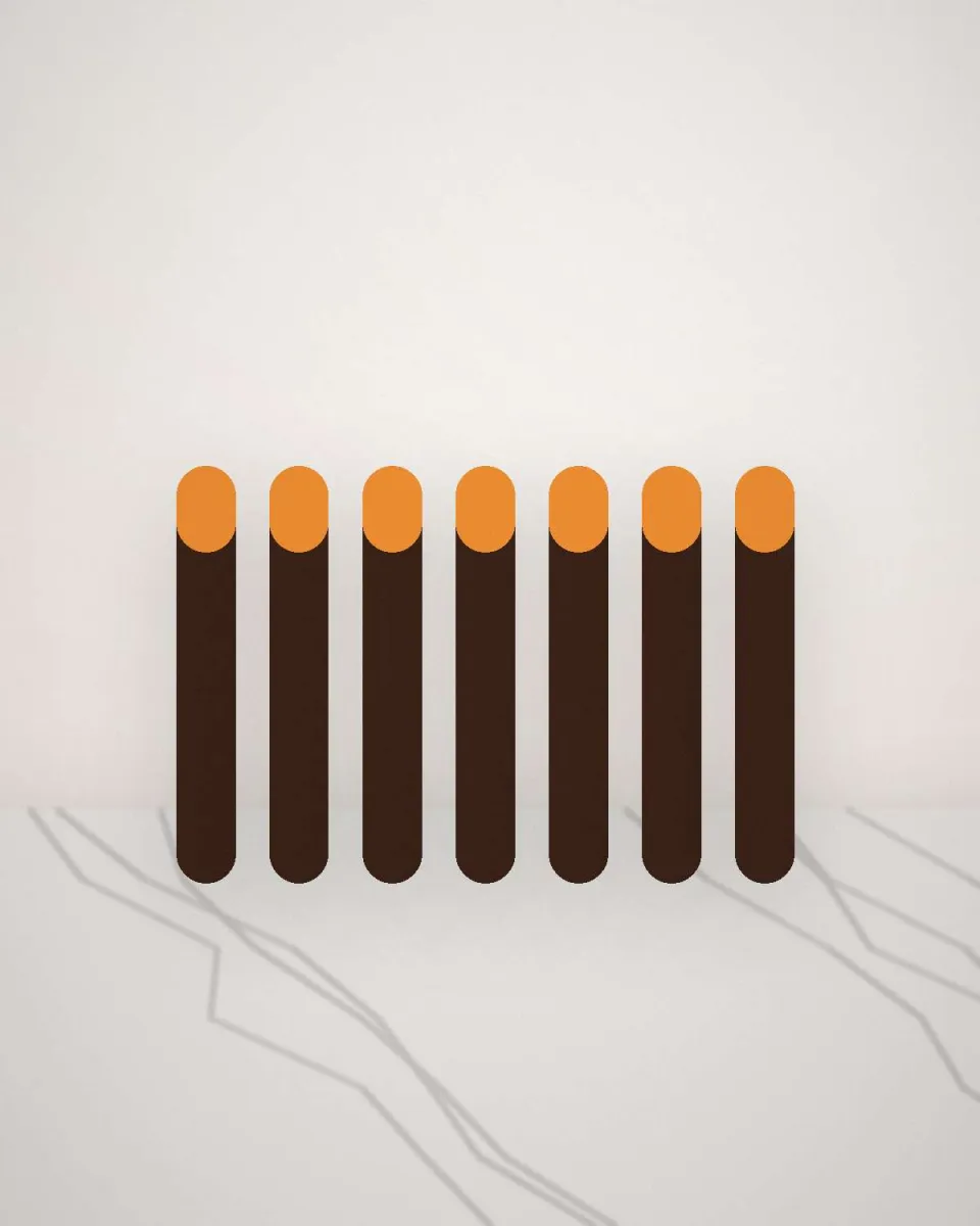 Orangettes enrobées de chocolat noir alignées
